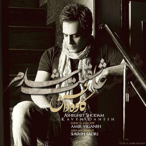 دانلود آهنگ عاشقت شدم